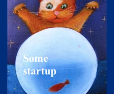 Being a SaaS (Small Analytics company) in the Earth Observation market